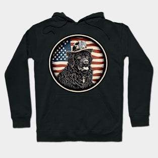 Patriotic Newfoundland Hoodie